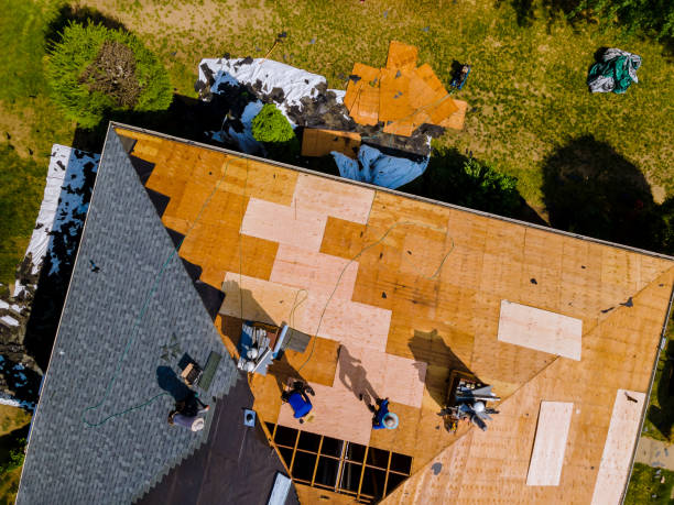 Best Roof Waterproofing Services  in English, IN